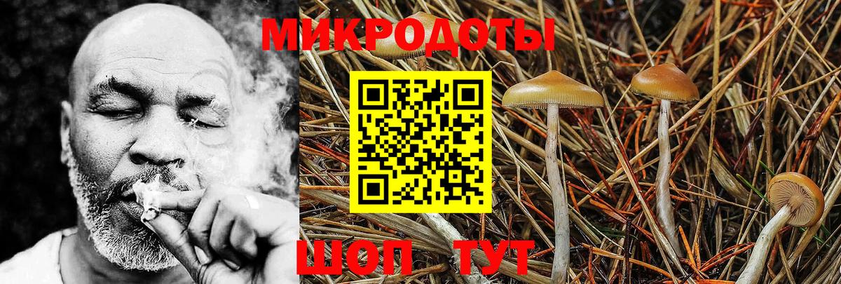 Псилоцибиновые грибы Cubensis  Псилоцибиновые грибы прущие грибы  Вязники  Вход с VPN 